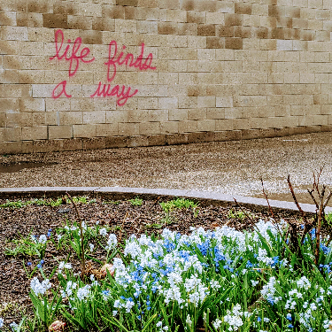flowers brick wall grafitti